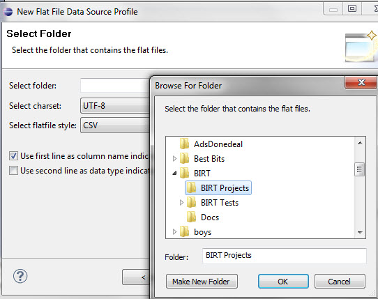 birt folder csv file.jpg