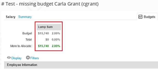 Carla's form - missing budget3333.png